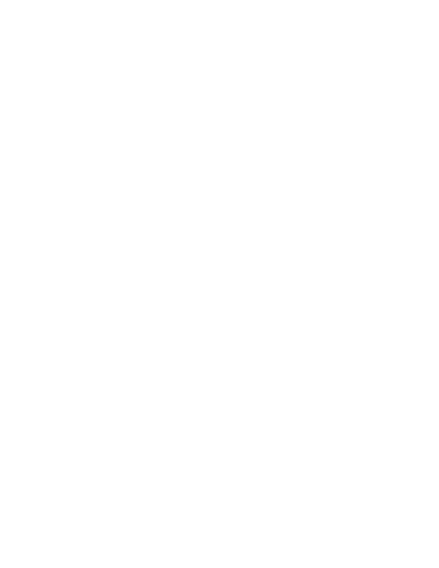 THEMIS CONSEIL ET INVESTIGATIONS
